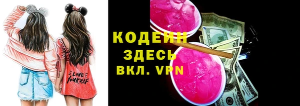 мдпв Бородино